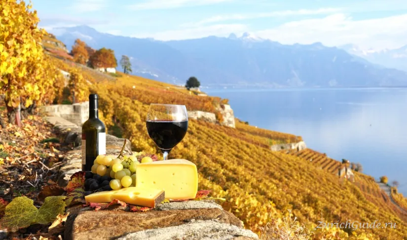 A glass of Chasselas white wine from Lavaux