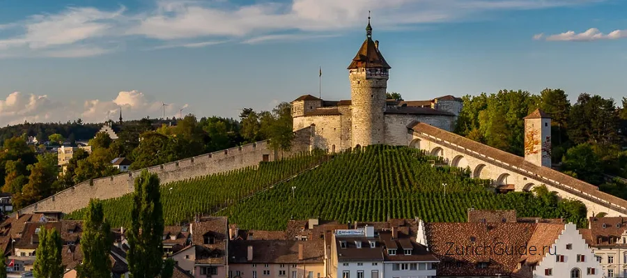 The Munot fortress above the vineyards at Schaffhausen